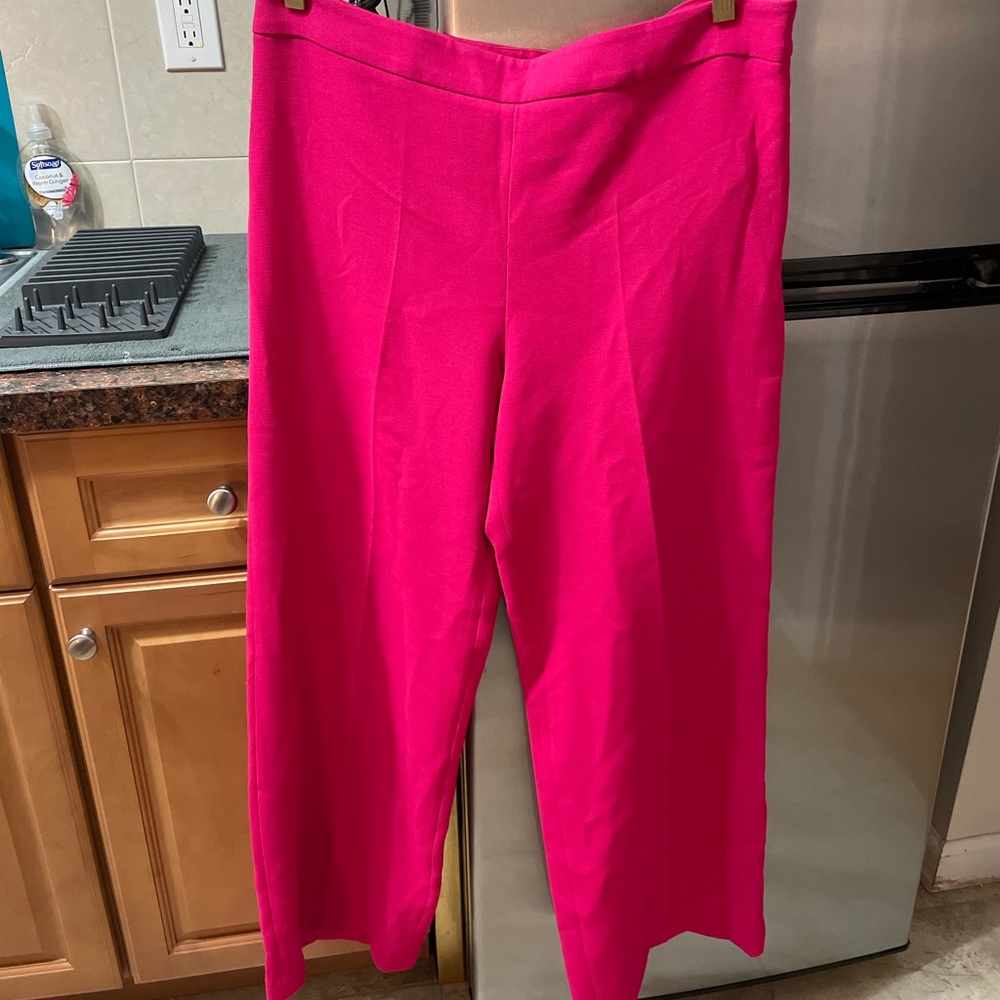 Brand new pink Zara pants